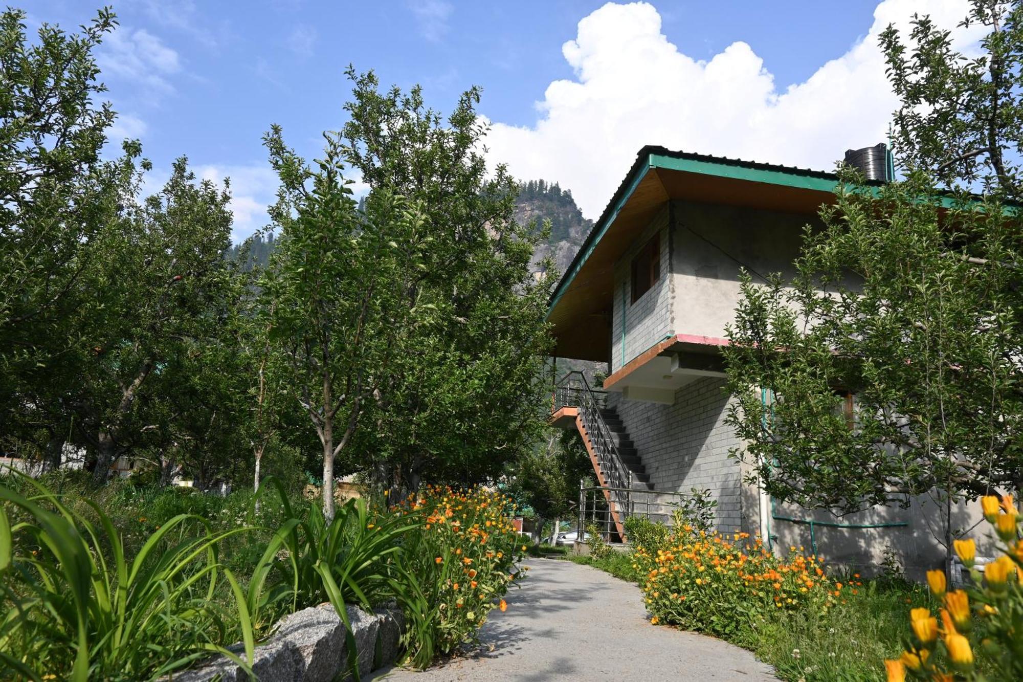 Cascade Mountain Retreat Manali Bed & Breakfast Ngoại thất bức ảnh