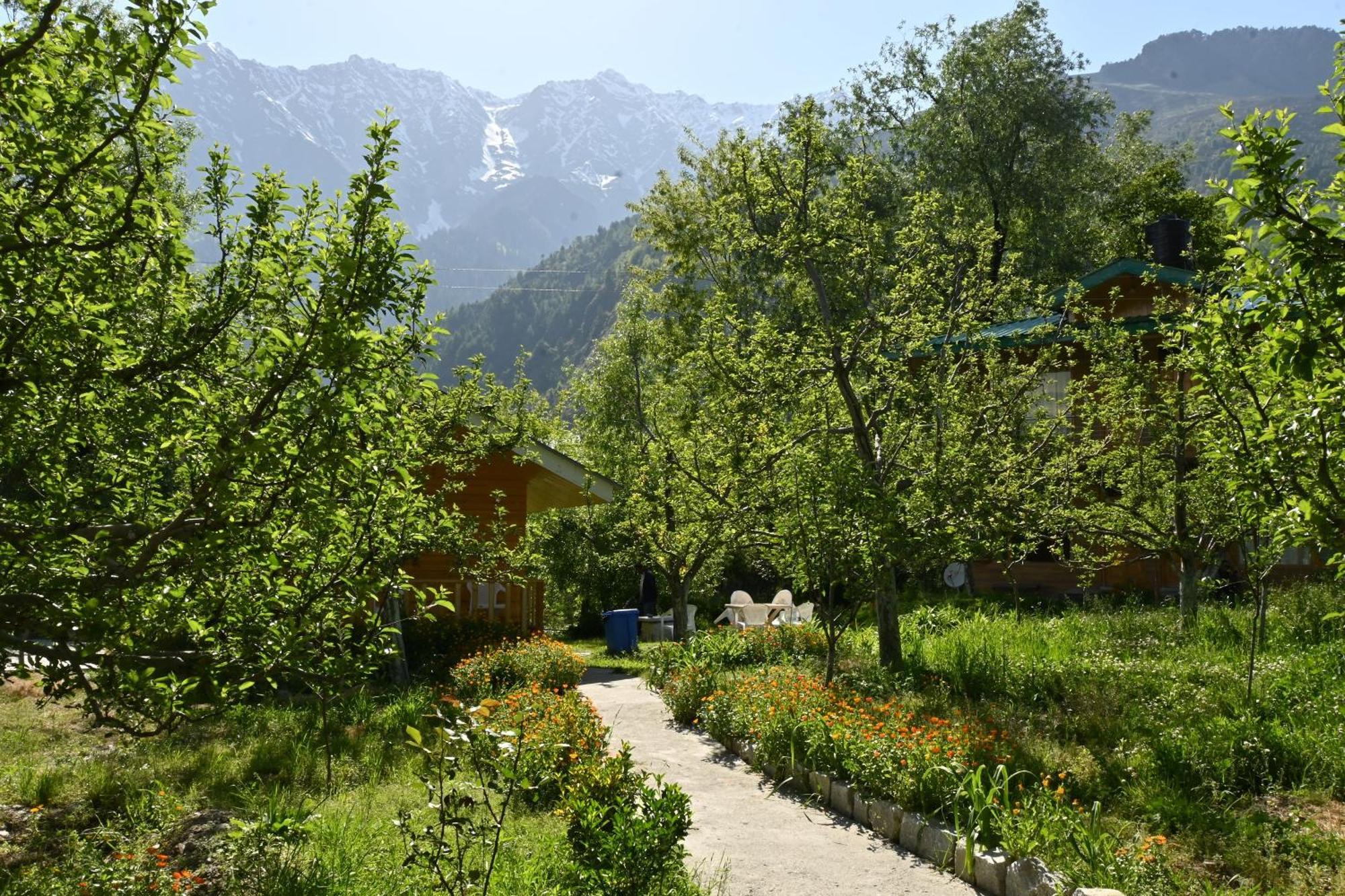 Cascade Mountain Retreat Manali Bed & Breakfast Ngoại thất bức ảnh