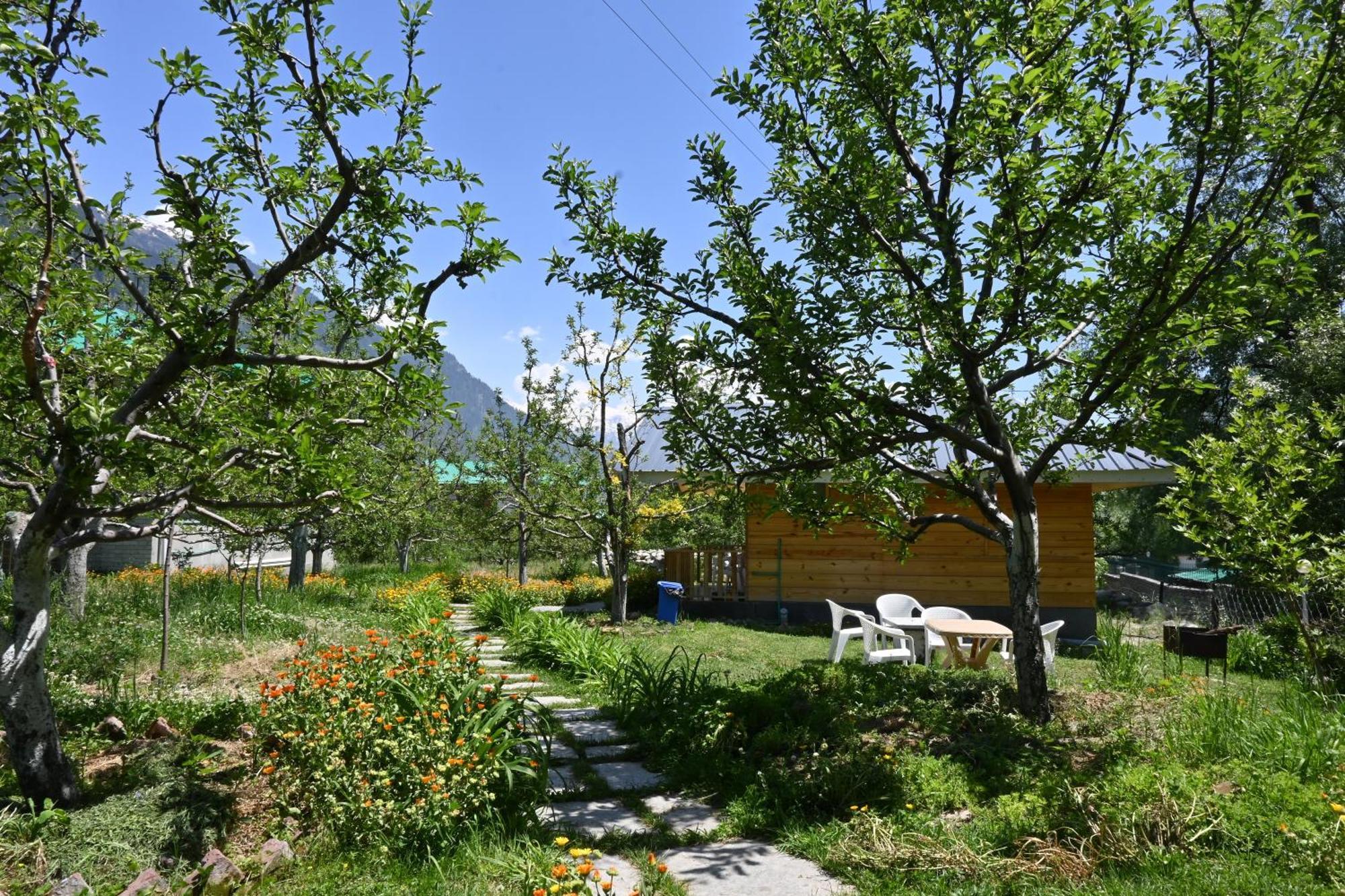 Cascade Mountain Retreat Manali Bed & Breakfast Ngoại thất bức ảnh